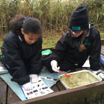 Y6 Nature Reserve trip 3